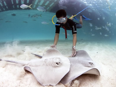 Cozumel, Mexican Caribbean